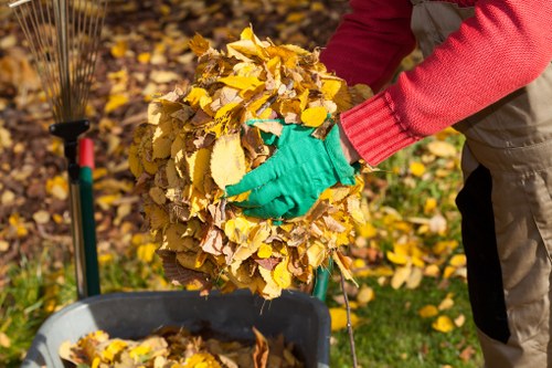 Professional house clearance team in New Cross